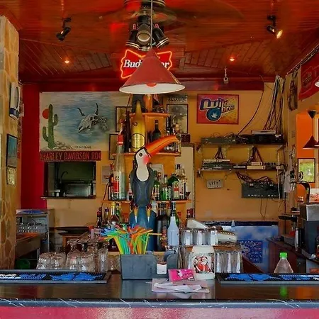 Ikaros (adults Only) 3*